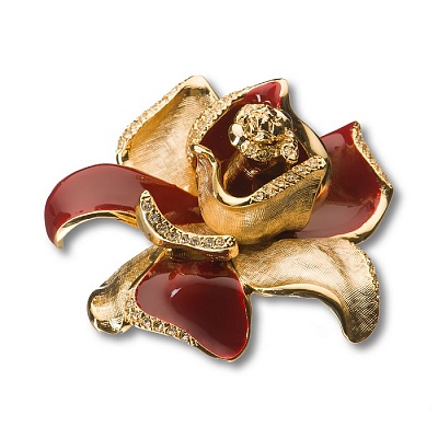  11.55 MO10   "Magnolia",   24ʻ